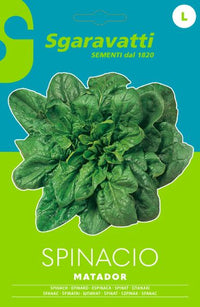 SEMI PER ORTAGGI E VEGETALI spinacio matador- 20 pezzi  - SGARAVATTI