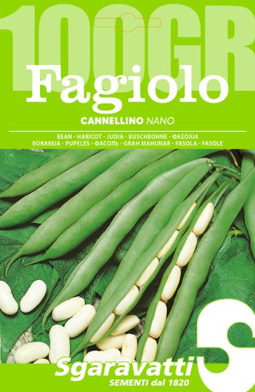 SEMI PER FAGIOLI fagiolo nano cannellino - gr 100- 5 pezzi  - SGARAVATTI