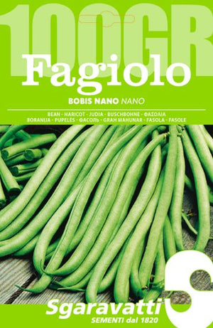 SEMI PER FAGIOLI fagiolo bobis bianco - gr 100- 5 pezzi  - SGARAVATTI