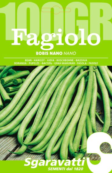 SEMI PER FAGIOLI fagiolo bobis bianco - gr 100- 5 pezzi  - SGARAVATTI