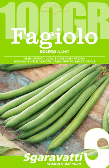 SEMI PER FAGIOLI fagiolo nano bolero - gr 100- 5 pezzi  - SGARAVATTI
