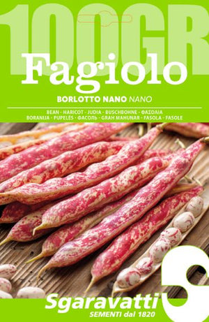 SEMI PER FAGIOLI fagiolo borlotto nano lingua di fuoco - gr 100- 5 pezzi  - SGARAVATTI