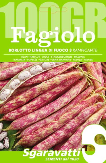 SEMI PER FAGIOLI fagiolo borlotto rampicante lingua di fuoco 3 - gr 100- 5 pezzi  - SGARAVATTI