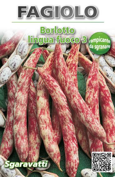 SEMI PER FAGIOLI fagiolo borlotto rampicante lingua di fuoco 3 - gr 250  - SGARAVATTI