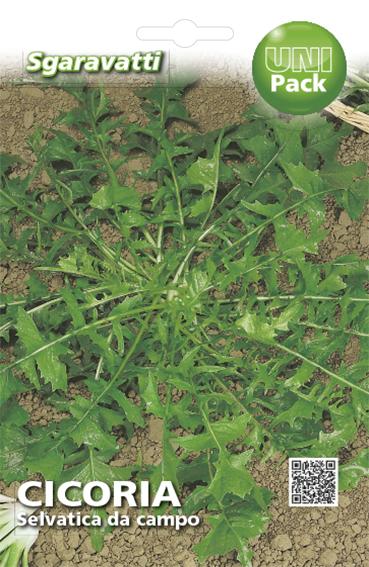 SEMI PER ORTAGGI E VEGETALI cicoria selvatica da campo- 20 pezzi  - SGARAVATTI