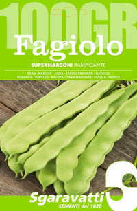 SEMI PER FAGIOLI fagiolo rampicante supermarconi - gr 250  - SGARAVATTI