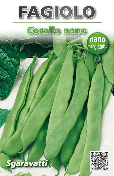 SEMI PER FAGIOLI fagiolo nano corallo - gr 250  - SGARAVATTI