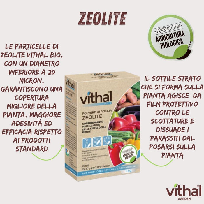 POLVERE DI ROCCIA ZEOLITE VITHAL BIO  kg.1    VITHAL