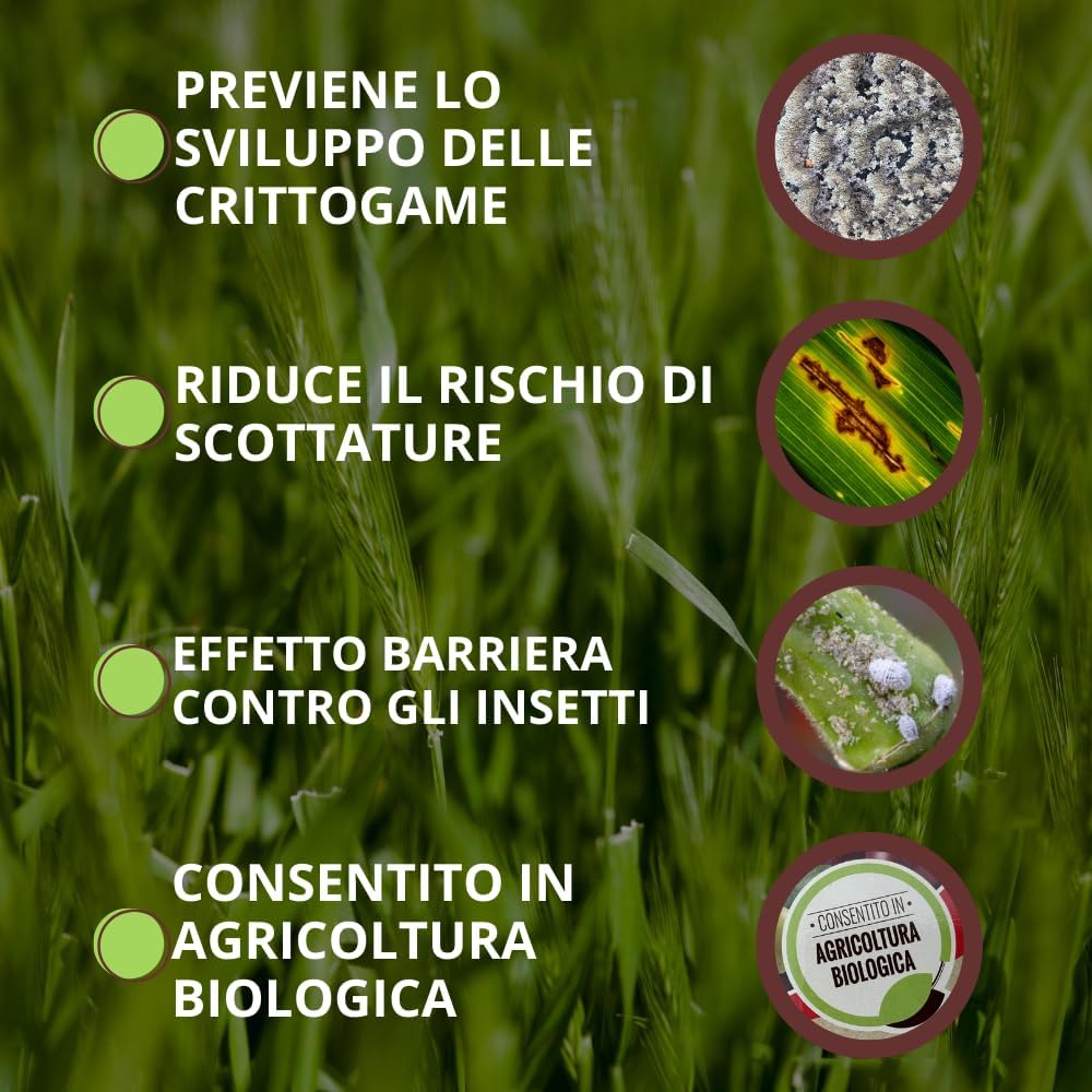 POLVERE DI ROCCIA ZEOLITE VITHAL BIO  kg.1    VITHAL