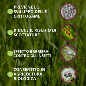 POLVERE DI ROCCIA ZEOLITE VITHAL BIO  kg.1    VITHAL