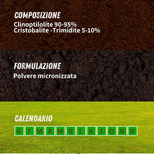 POLVERE DI ROCCIA ZEOLITE VITHAL BIO  kg.1    VITHAL