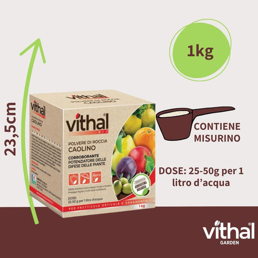 POLVERE DI ROCCIA CAOLINO VITHAL BIO  kg.1    VITHAL