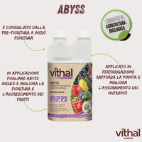 STIMOLANTE LIQUIDO ABYSS  ml.250    VITHAL