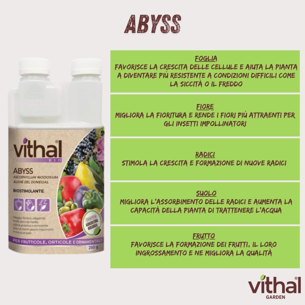 STIMOLANTE LIQUIDO ABYSS  ml.250    VITHAL
