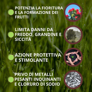 STIMOLANTE LIQUIDO ABYSS  ml.250    VITHAL