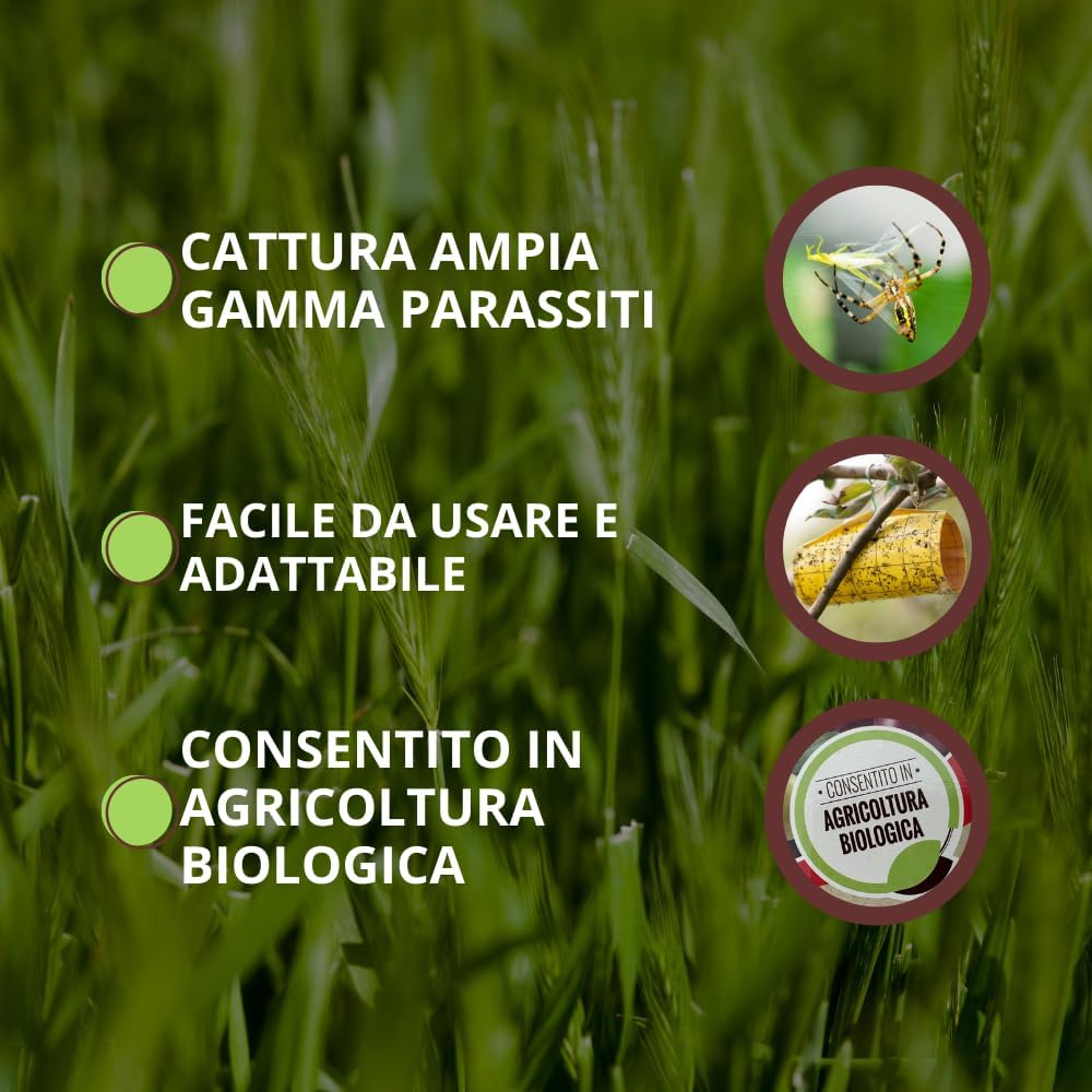 TRAPPOLA MAGICA PER AFIDI, TRIPIDI E MINATORI VITHAL EXPERT- Ogni confezione contiene 10 fogli - 1 confezione VITHAL