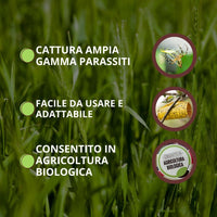 TRAPPOLA MAGICA PER AFIDI, TRIPIDI E MINATORI VITHAL EXPERT- Ogni confezione contiene 10 fogli - 1 confezione VITHAL