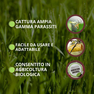 TRAPPOLA MAGICA PER AFIDI, TRIPIDI E MINATORI VITHAL EXPERT- Ogni confezione contiene 10 fogli - 1 confezione VITHAL