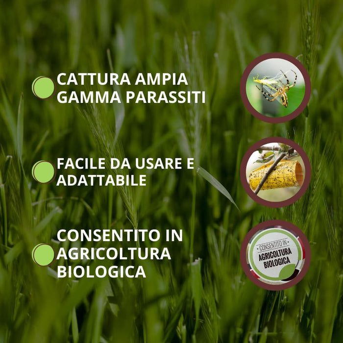 TRAPPOLA MAGICA PER AFIDI, TRIPIDI E MINATORI VITHAL EXPERT- Ogni confezione contiene 10 fogli - 1 confezione VITHAL