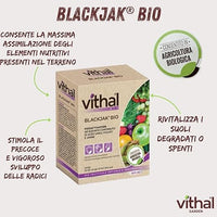 CONCIME ORGANICO FISIOATTIVATORE 'BLACKJAK BIO' ml 500  - VITHAL