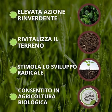 CONCIME ORGANICO FISIOATTIVATORE 'BLACKJAK BIO' ml 500  - VITHAL