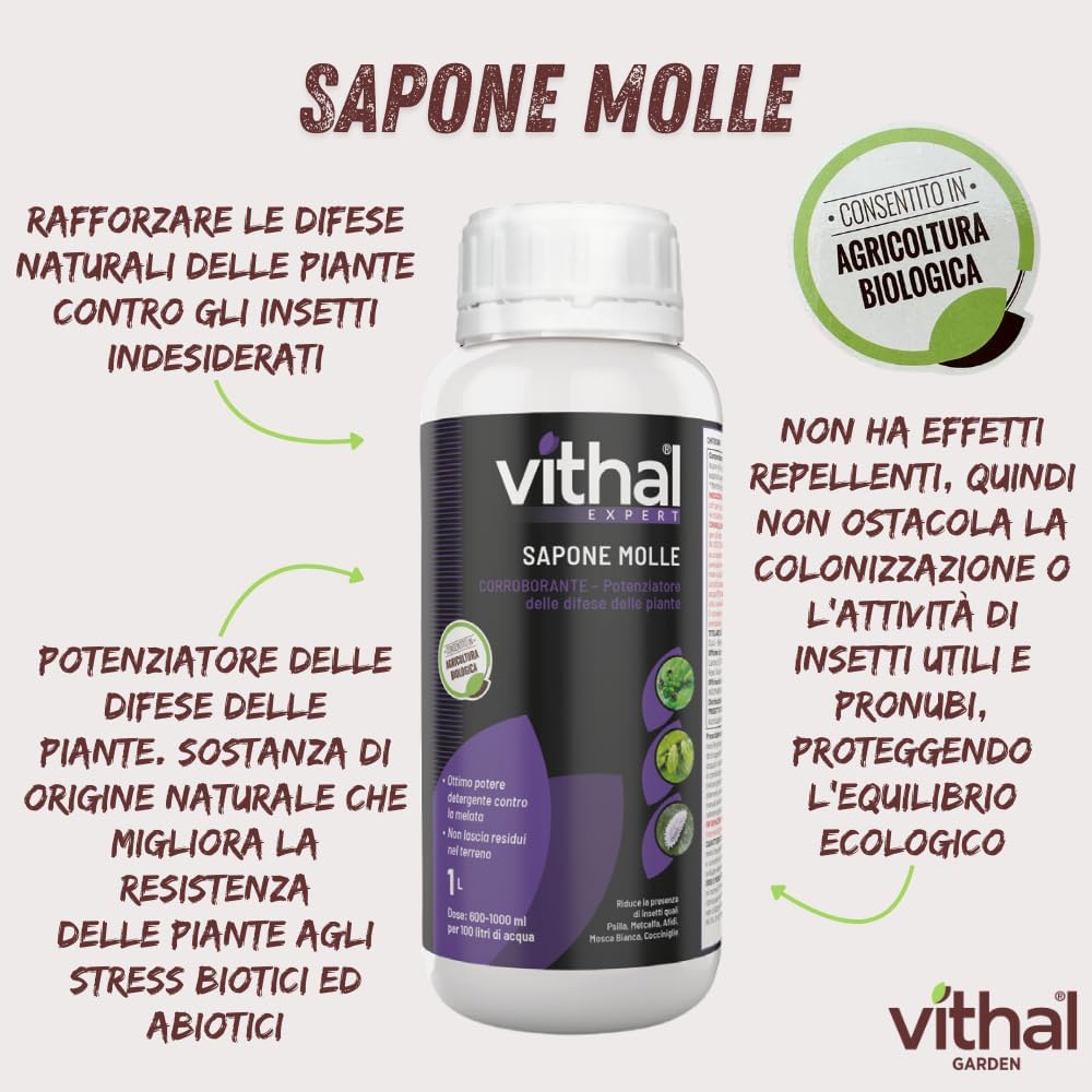 SAPONE MOLLE Lt. 1  - VITHAL