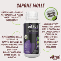 SAPONE MOLLE Lt. 1  - VITHAL