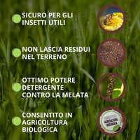 SAPONE MOLLE Lt. 1  - VITHAL