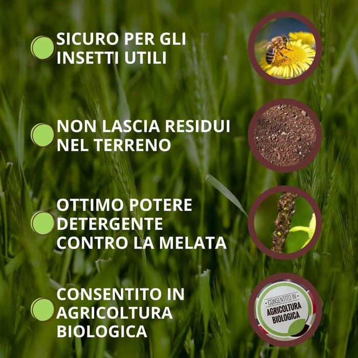 SAPONE MOLLE Lt. 1  - VITHAL