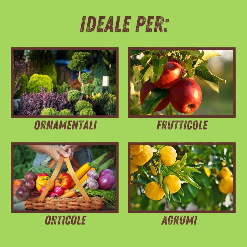 SAPONE MOLLE Lt. 1  - VITHAL