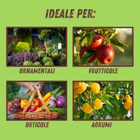 SAPONE MOLLE Lt. 1  - VITHAL