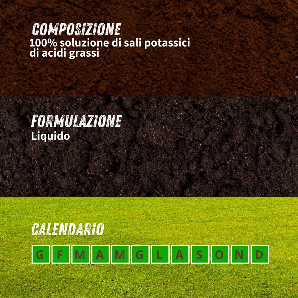 SAPONE MOLLE Lt. 1  - VITHAL