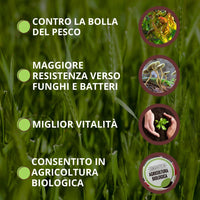 FUNGICIDA SISTEMICO 'BOLLA STOP' Ml.50  - VITHAL