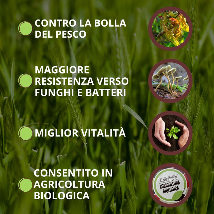 FUNGICIDA SISTEMICO 'BOLLA STOP' Ml.50  - VITHAL