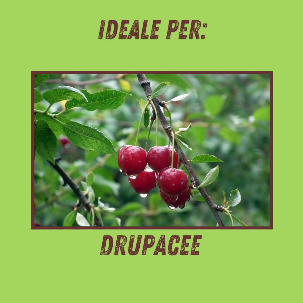 FUNGICIDA SISTEMICO 'BOLLA STOP' Ml.50  - VITHAL