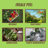 SAPONE MOLLE SUPER K PLUS VITHAL BIO- - gr.250 - 3 pezzi VITHAL