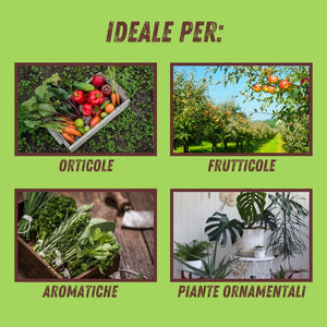 SAPONE MOLLE SUPER K PLUS VITHAL BIO- - gr.250 - 3 pezzi VITHAL