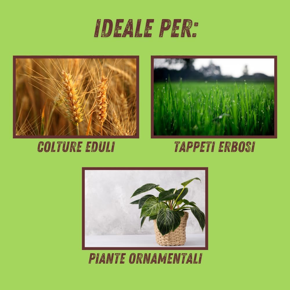 VITHAL INTEGRATORE DI ZEOLITE PER PIANTE kg. 1