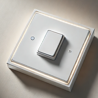 Kit 1 pezzo deviatore unipolare illuminabile 16a biesse per serie bticino matix