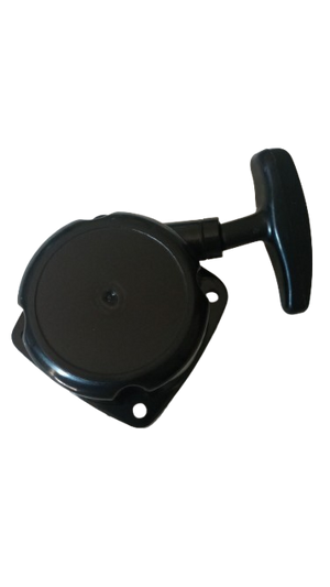 AVVIAMENTO TAGLIASIEPE T23 STARS