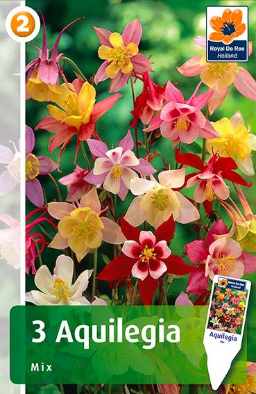SEMI PER PRATO UNIVERSALE aquilegia miscuglio- 20 pezzi  - SGARAVATTI