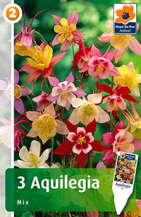 SEMI PER PRATO UNIVERSALE aquilegia miscuglio- 20 pezzi  - SGARAVATTI