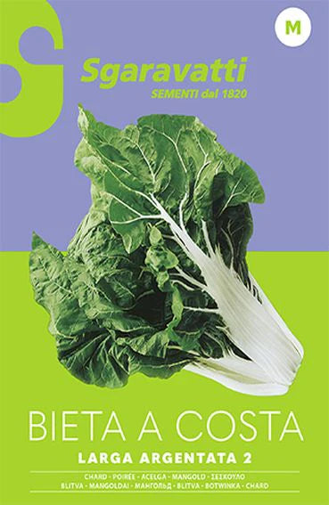 SEMI PER ORTAGGI E VEGETALI bieta verde costa larga argentata- 10 pezzi  - SGARAVATTI