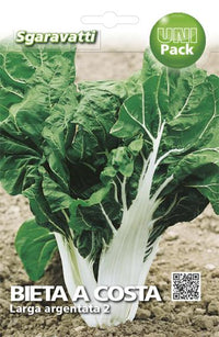 SEMI PER ORTAGGI E VEGETALI bieta verde costa larga argentata- 10 pezzi  - SGARAVATTI