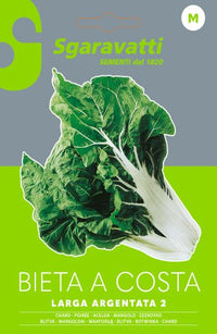 SEMI PER ORTAGGI E VEGETALI bieta verde costa larga argentata- 10 pezzi  - SGARAVATTI
