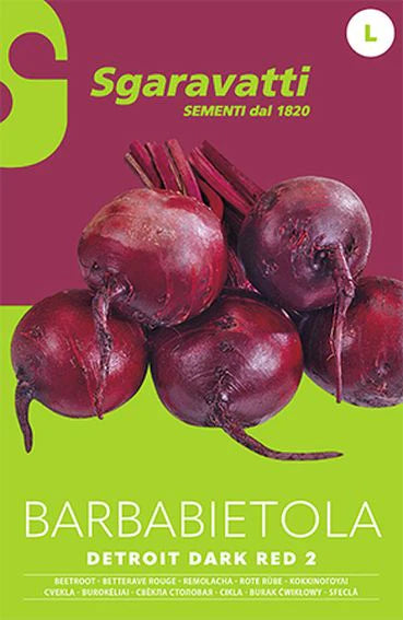 SEMI PER ORTAGGI E VEGETALI barbabietola detroit 10 pezzi  - SGARAVATTI