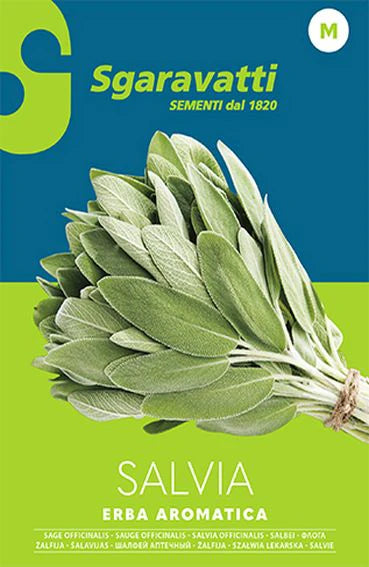 SEMI PER ORTAGGI E VEGETALI salvia officinale 20 pezzi  - SGARAVATTI