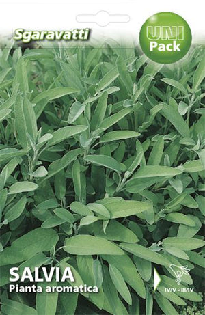 SEMI PER ORTAGGI E VEGETALI salvia officinale 20 pezzi  - SGARAVATTI