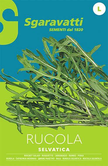 SEMI PER ORTAGGI E VEGETALI rucola selvatica 20 pezzi  - SGARAVATTI