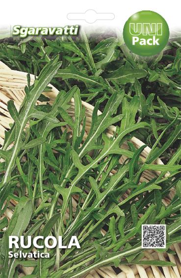 SEMI PER ORTAGGI E VEGETALI rucola selvatica 20 pezzi  - SGARAVATTI